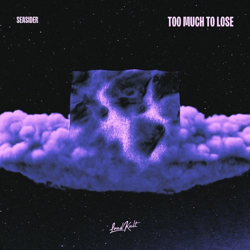 Too Much To Lose