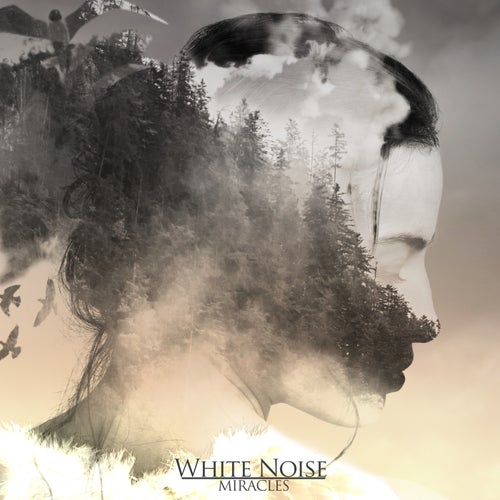 Lucid Dreams (White Noise & 7,83 Hz Binaural Beats)