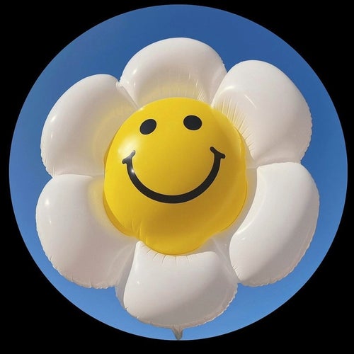 FeLiZDia