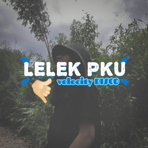 Lelek Pku Velocity Disco