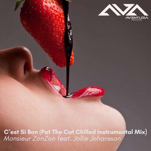 C'est Si Bon (Pat The Cat Chilled Instrumental Mix feat. Jollie Johansson)