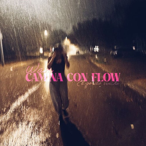 CAMINA CON FLOW