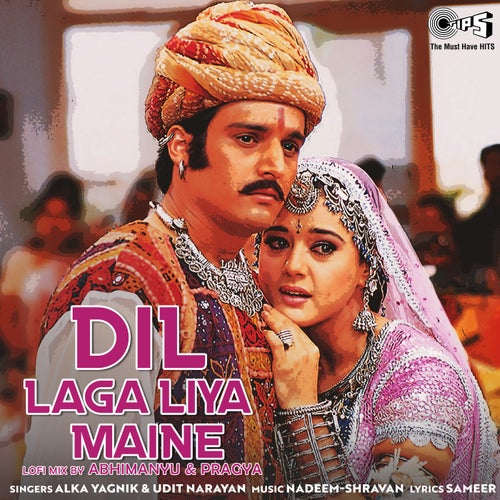 Dil Laga Liya Maine (Lofi Mix)