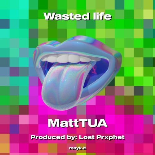 Wasted life