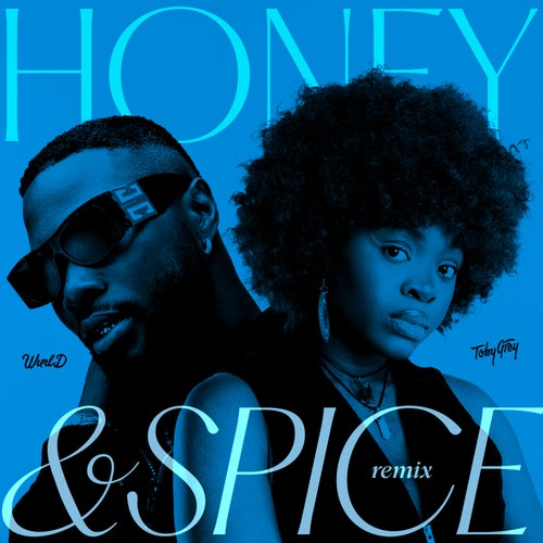 Honey & Spice (Remix)