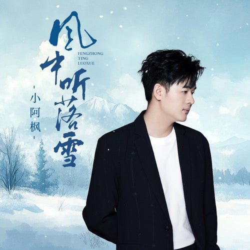 風中聽落雪（DJ名龍版）