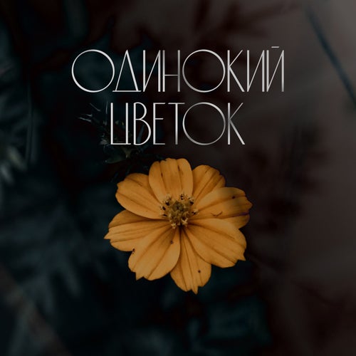 Одинокий цветок