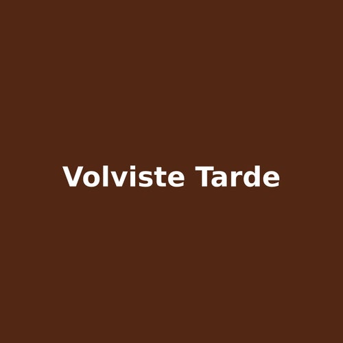 volviste tarde