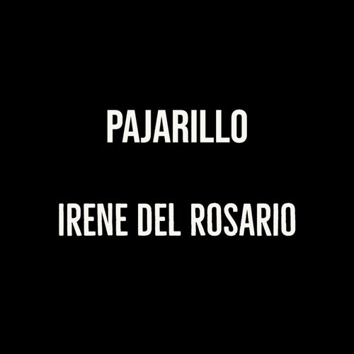 Pajarillo
