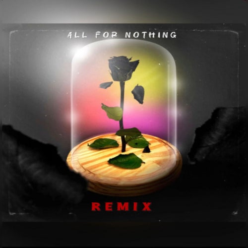 All For Nothing (Remix)