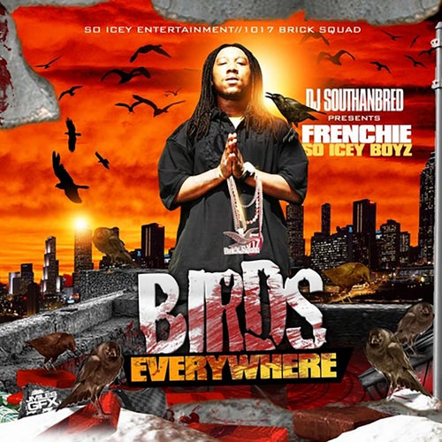 Birds Everywhere