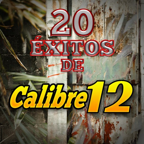 20 Exitos de