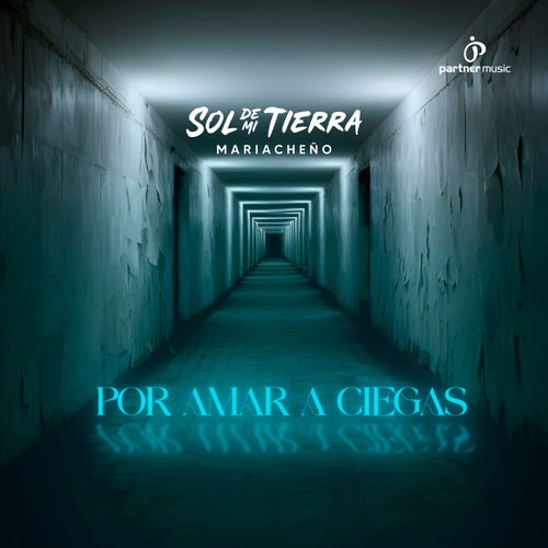 Por Amar A Ciegas