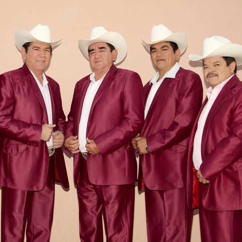 Los Llaneros De Guamuchil Profile