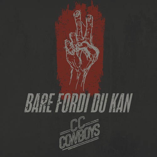 Bare fordi du kan