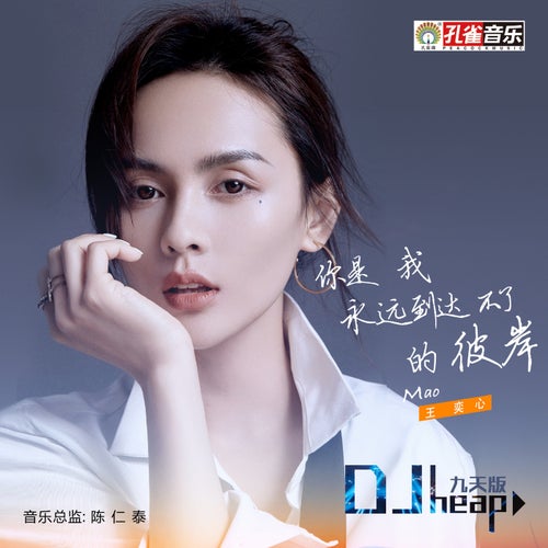 你是我永遠到達不了的彼岸 (Dj heap九天版)