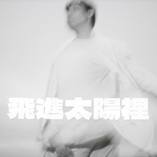 飛進太陽裡