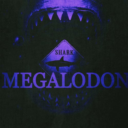 Megalodon Shark