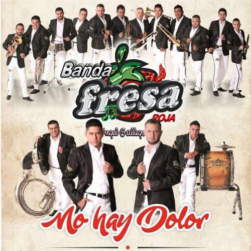 Banda Fresa Roja Profile