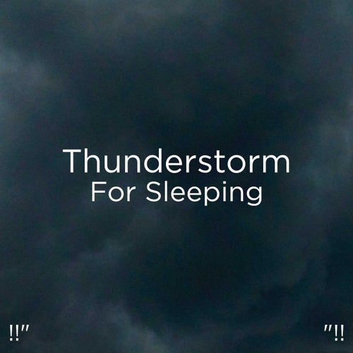 !!" Thunderstorm For Sleeping "!!