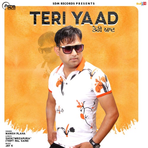 Teri Yaad