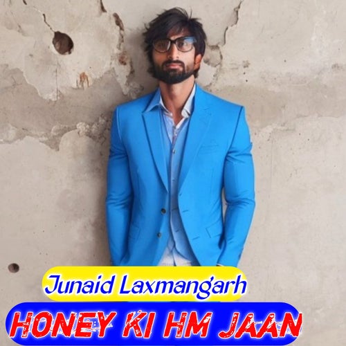 Honey Ki HM Jaan (Mewati Song)