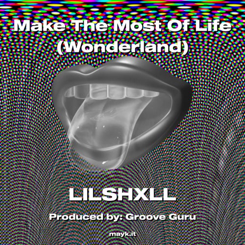 Make The Most Of Life (Wonderland)