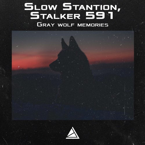 Gray wolf memories