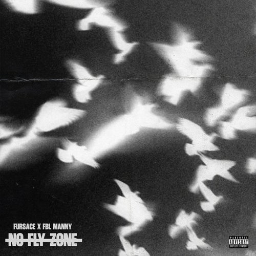 NO FLY ZONE