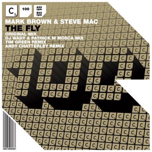 The Fly (feat. Steve Mac)