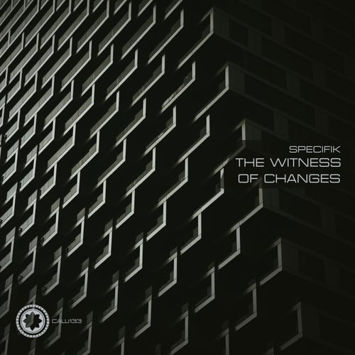 The Witness Of Changes