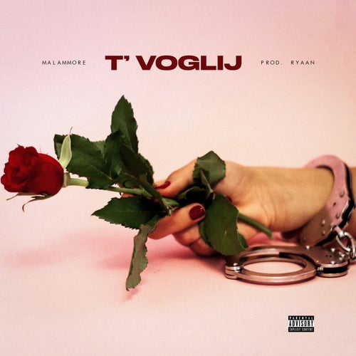 T' Voglij