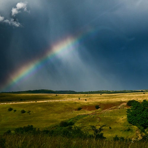 Wish I Could Tell You