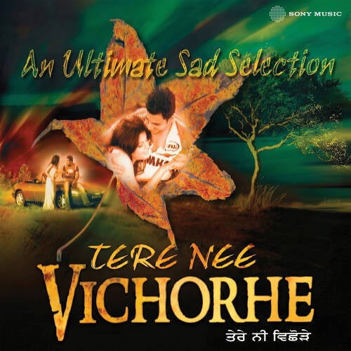 Tere Nee Vichorhe