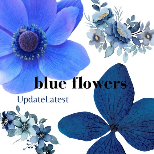 Blue Flowers