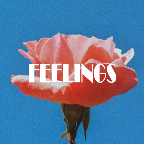 Feelings