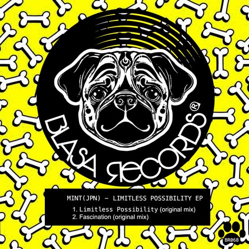Limitless Possibility EP