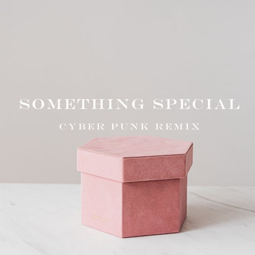 Something Special (Cyber Punk Remix)