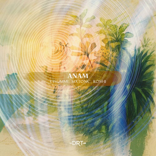 ANAM (Extended Mix)