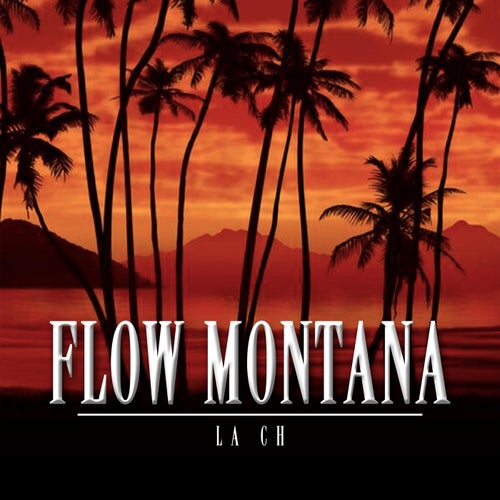 Flow Montana