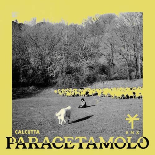 Paracetamolo