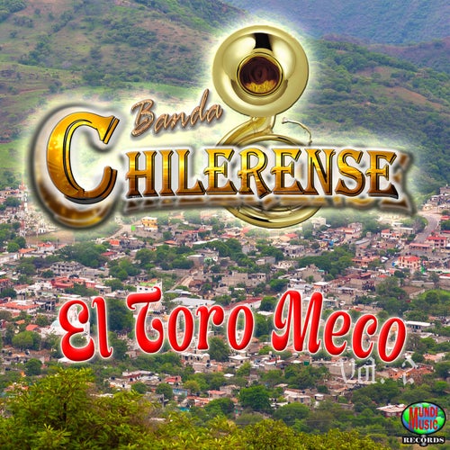 El Toro Meco