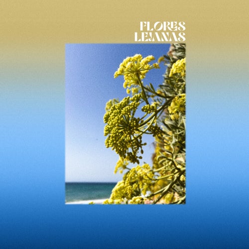 Flores lejanas