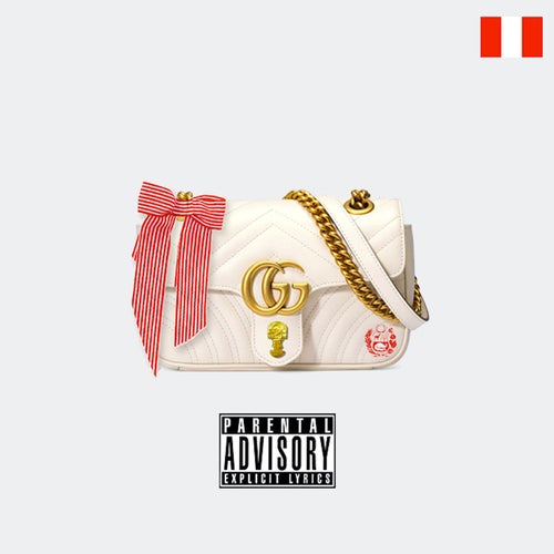 Gucci Bag