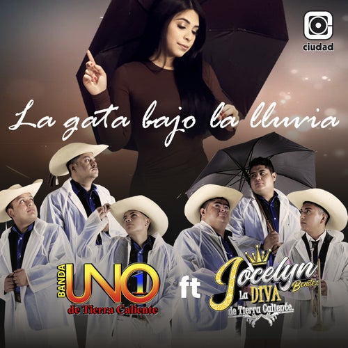 La gata bajo la lluvia (feat. jocelyn benitez)