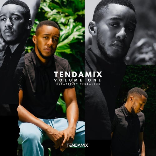 Tendamix Volume One