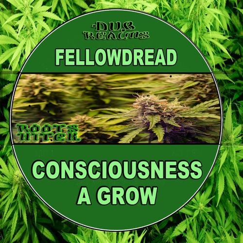 CONSCIOUSNESS A GROW (vocal / dub)