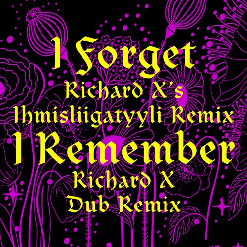 I Forget (Richard X Remixes)