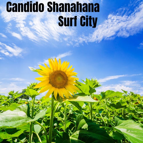 Surf City