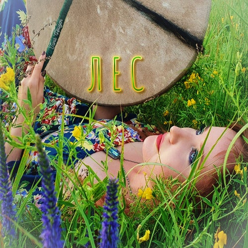 Лес